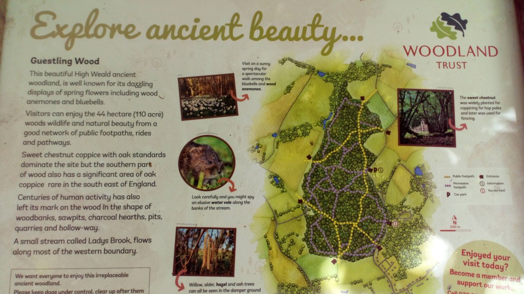 This image has an empty alt attribute; its file name is 11-dsc_0246.jpg