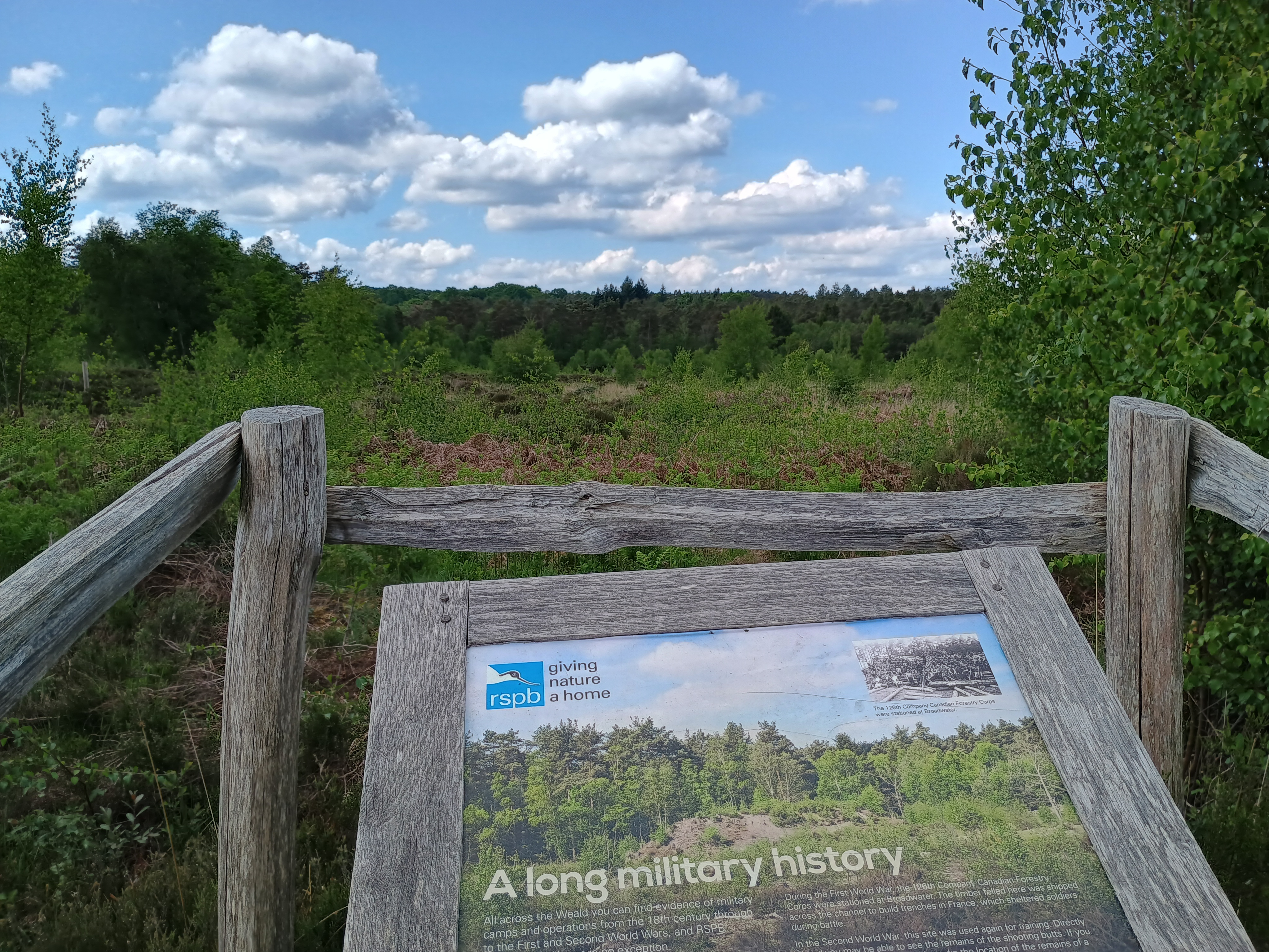 Eridge – Broadwater Warren & Eridge Rocks 3.5m – 123 Walks