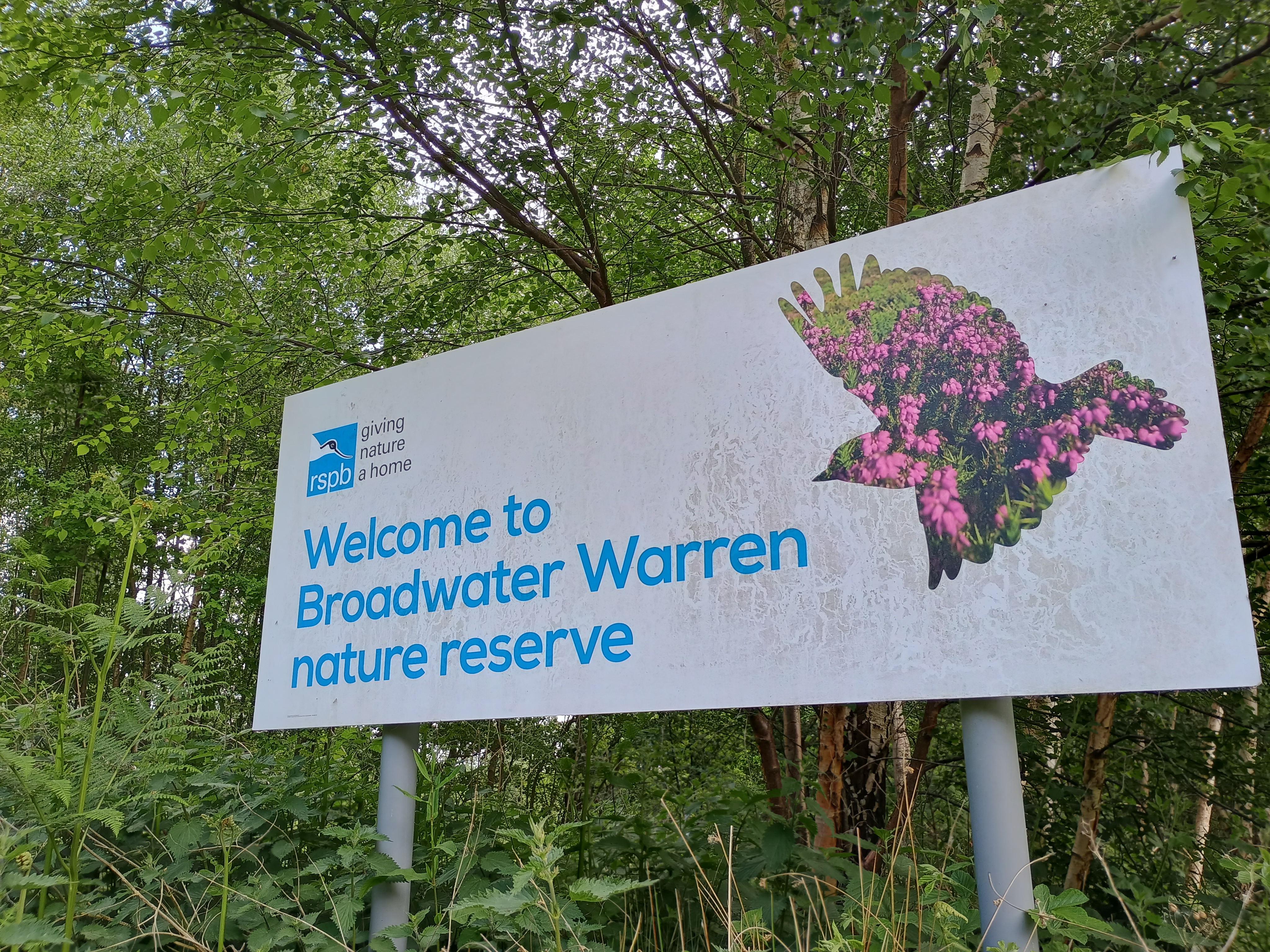Eridge – Broadwater Warren & Eridge Rocks 3.5m – 123 Walks