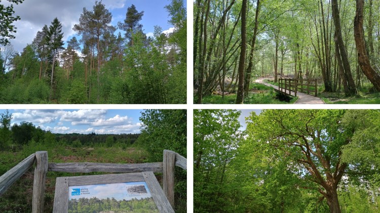 Eridge – Broadwater Warren & Eridge Rocks 3.5m – 123 Walks