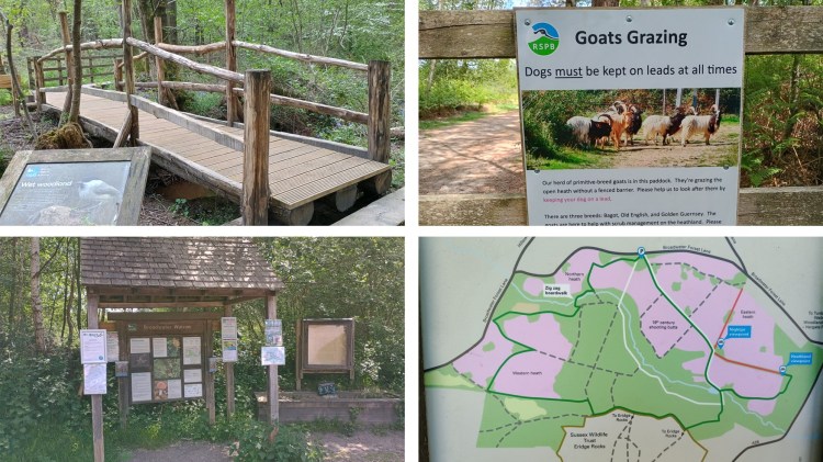 Eridge – Broadwater Warren & Eridge Rocks 3.5m – 123 Walks