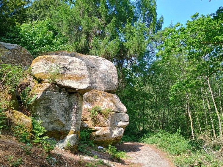 Eridge – Broadwater Warren & Eridge Rocks 3.5m – 123 Walks