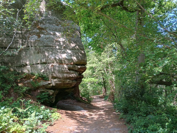 Eridge – Broadwater Warren & Eridge Rocks 3.5m – 123 Walks