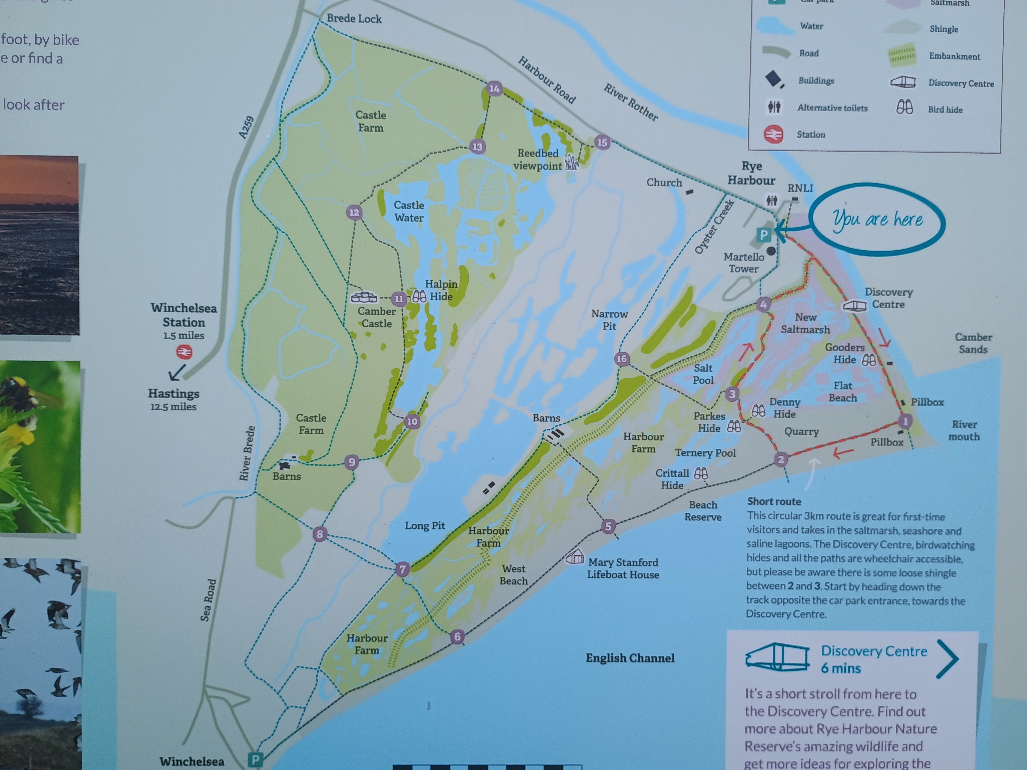 Rye Harbour Nature Reserve 2.1 or 3.4m – 123 Walks